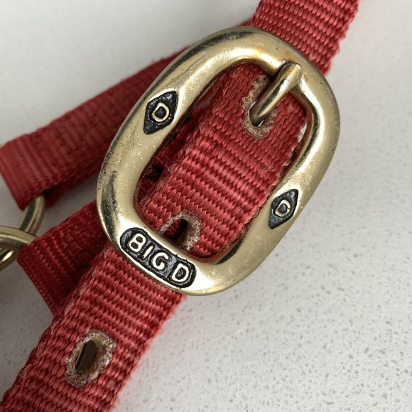 3/4-Inch Wide Nylon Yearling/Cob-Size Horse Halter - Picture 2 of 3